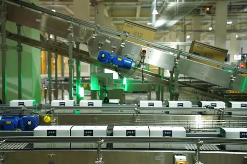 數(shù)字監(jiān)控系統(tǒng) 實(shí)現(xiàn)牛奶從牧場(chǎng)到包裝下線(xiàn)13小時(shí)高效管控